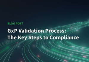 Blog – GxP Validation Process Thumbnail