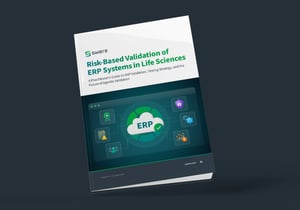SWR_Risk-Based-Validation-of-ERP-Syst_WP_Mockup_1200x840